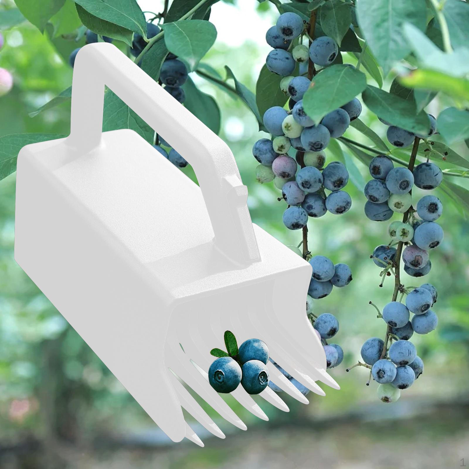 

Инструмент для сбора ягод с ручкой и гребенкой для черники белый