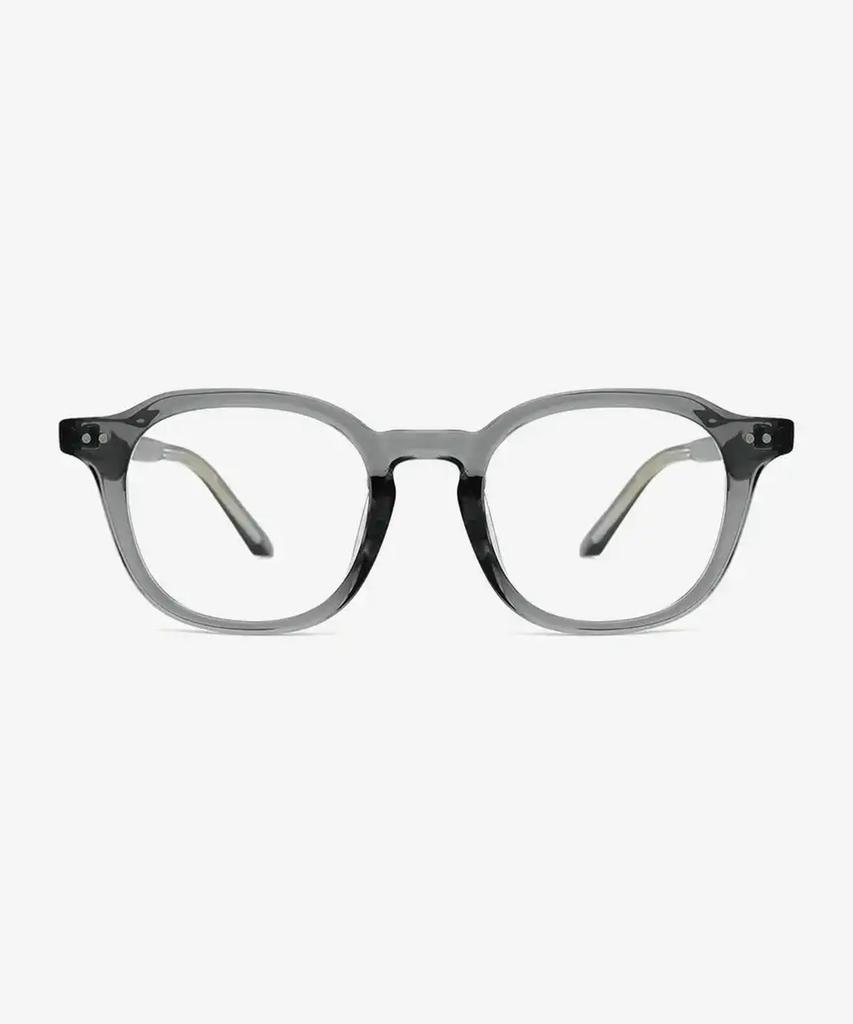 Seutailwokeu Gray Sw Horn 02 Gr Stylework Eyeglass Frames