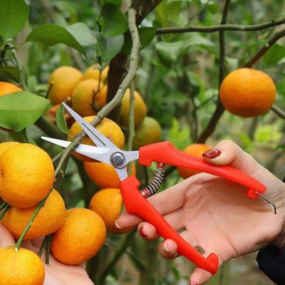 1Pcs High Carbon Steel Gardening Pruning Shears Non Slip Handles Straight Curved Tips For Fruit Thinning Orchard Garden Trimming
