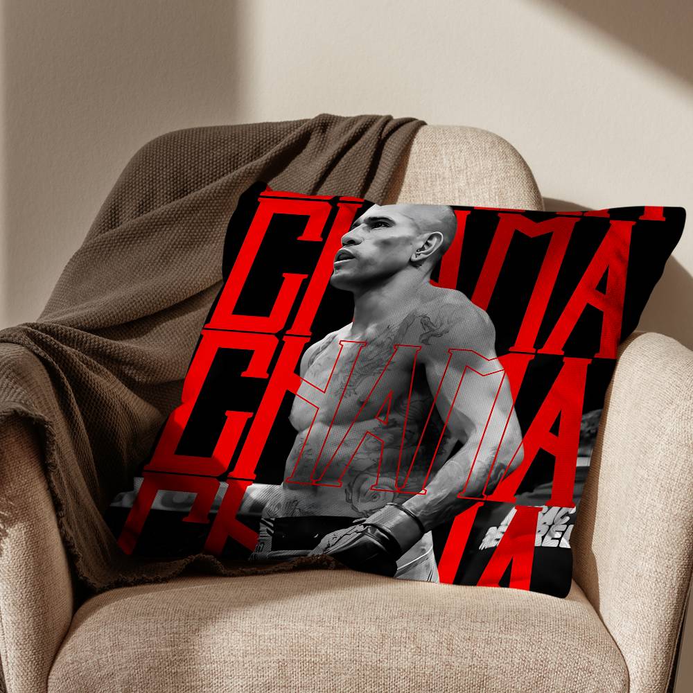 Weight category Alex Pereira Pillow Case Antidustmite Pillowcase Invisible zipper silky short plush Sofa cushion cover