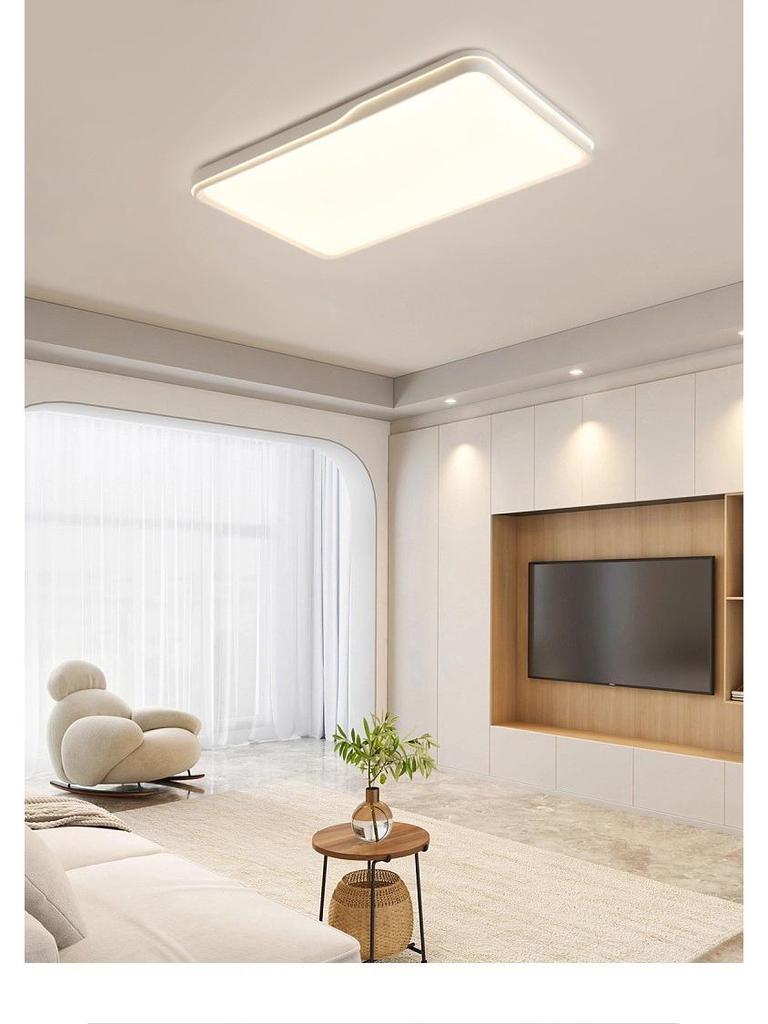 Modern LED Ceiling Light for Living Room and Bedroom