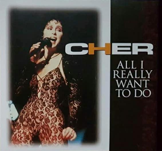 

CD CHER - All I Really Want to Do NE34503 Neon 1999 Japan Dance & Electronica Used