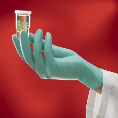 Ansell NeoTouch 25-101 Gants en néoprène, procédé agroalimentaire, Vert, Taille 9.5-10 (Boîte de 100 gants) -