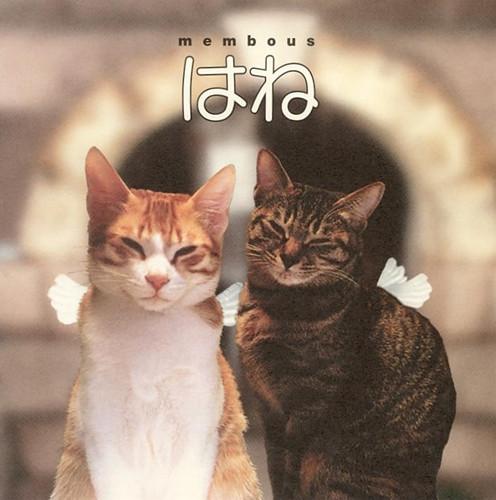 

CD MEMBOUS; MEMBOUS - Wings BNCA14 People s 1997 Japan Rock Used