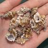 10Pcs Spotted Ear Conch Shell Charms 15×21~20×31mm Seashell Pendants With Silver Bail Beach Jewelry DIY