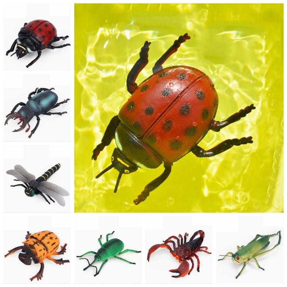 Cricket Simulated Insect Model Spiders Simulation Wildlife Model Science Toy   Children Gifts