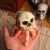 Halloween Skull Simulation Hand Ornaments Horror Festival Resin Skull Conch Hand Decorations For Home Party