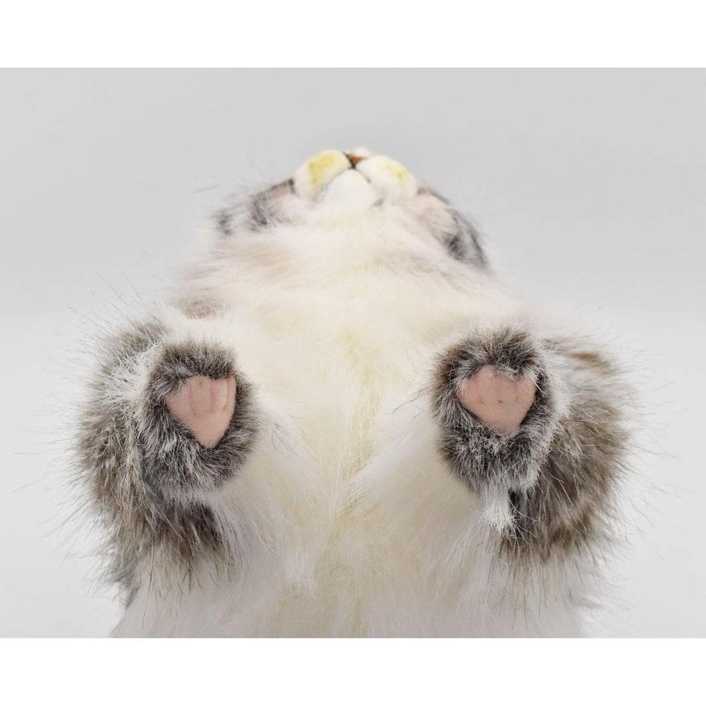 BH7077 HANSA Manul cat 30