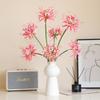 Manzhu Shahua Simulated Vento e Pioggia Orchidea Fiore dell'altra sponda Decorazione Fiore Finto Stile Nazionale Fotografia Fiore di Simulazione
