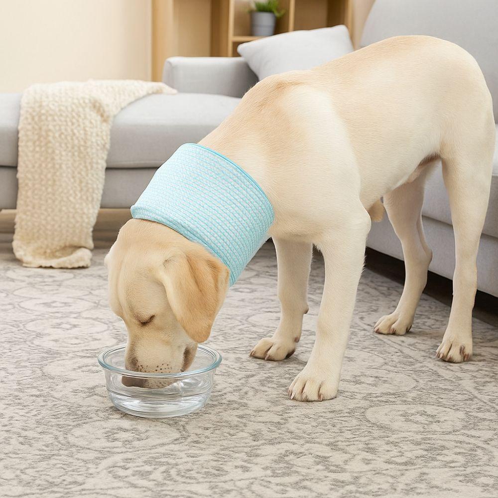 Mesh Cat Recovery Collar Soft Pet Anti-lick Collar Pet Wound Recovery Collar  Allergy Prevention