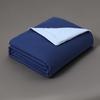 Deep Sleep Cooling Summer Comforter