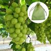100Pcs Mesh Garden Bag Net,Vegetable Grapes Fruit Protection Grow Bag,Drawstring Net Mesh Against Insect