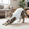 Breathable Fabric Pet Sterilization Suit Soft Material Cat Protective Vest  Spaying