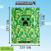 Minecraft Childrens/Kids Fleece Blanket Hoodie
