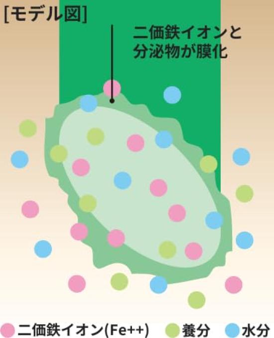 Menedal Plant Promotes Healthy Plant Growth for and 100x Released In 1955 Energizer, Nutrient, 500ml, Flowers, Vegetables, Trees, Dilution,