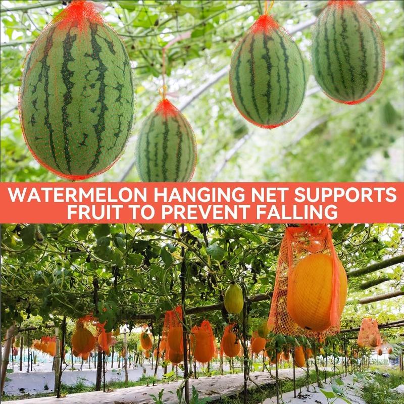 300/100PCS Hanging Garden Mesh Watermelon Grow Net with Straps Heavy-Duty Reusable Cantaloupe Pumpkin Support Bag for Orchards