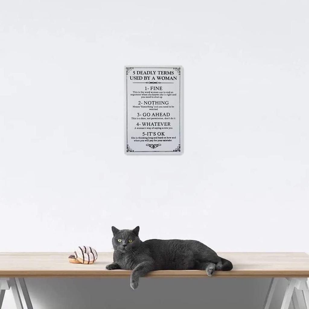 Generic Funny Novelty Metal Hanging Sign 5 Deadly Terms Used By A Woman Pub Club Cafe Bar Home Wall Art Decoration Poster Retro Home Living Room