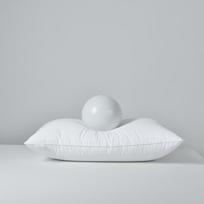 Star-Rated Hotel Feather Silk Cotton Pillow Core