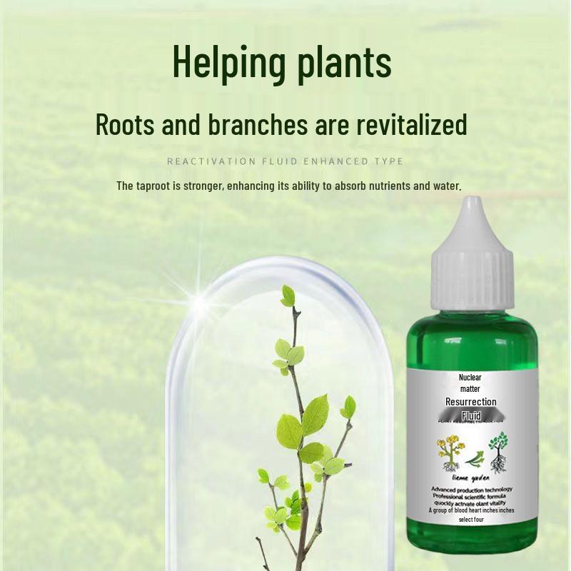 Solución Nutritiva Revitalizante Universal para Plantas - Para Rosas, Árboles del Dinero y Plantas en Maceta - Promueve el Crecimiento y Revitaliza las Hojas Amarillentas.