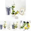 Lemon Indoor Decorative Plant With Faux Fruits For Photography And Home Decor