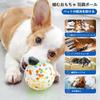 Dog Set of Dog Dog Chew Made of Safe Teeth Easy To Suitable for Medium and Small Lack of Stress Promotes Use for Indoor and Outdoor Use Toys, 2,