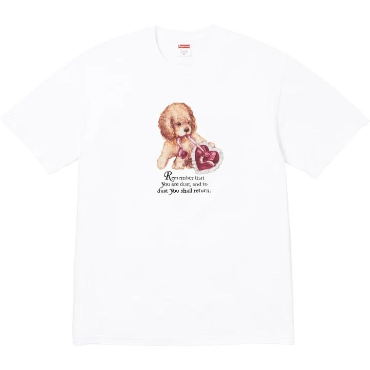 Supreme Dust Tee White M