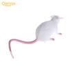 1 Stück Kunststoff Ratten Maus Modell Figuren Spielzeug