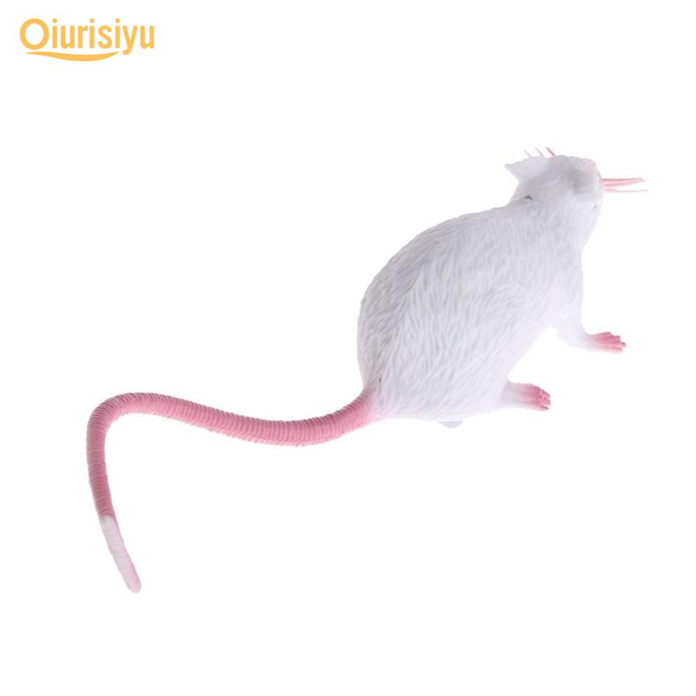 1 Stück Kunststoff Ratten Maus Modell Figuren Spielzeug