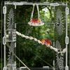 Hangable Jumping Spider Bridge Hermit Crab Climbing Enclosure Bridge Swings Spider/Gecko Jumping Stand Climbing Ladder Habitat