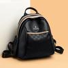 Schoolbag1011 New Premium Sense Backpack Women's Fashion Korean Edition Large Capacity Multifunctional Going Out Leisure Backpack