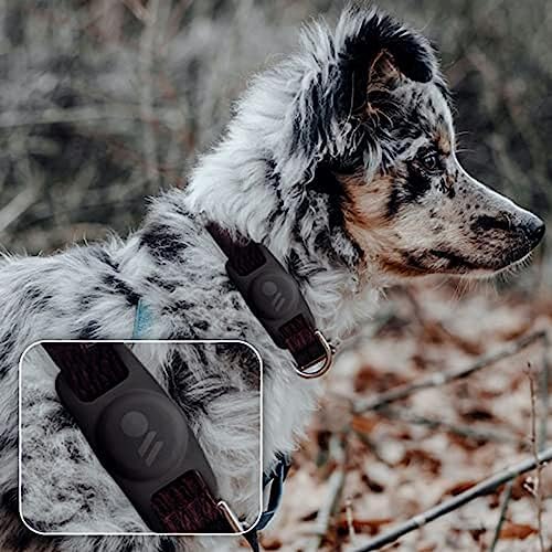 Case-Mate AirTag Hundehalsbandhalter Kratzfester Haustierhalsband-Halter Silikon AirTag Schutzhülle GPS-Tracker Anhänger für Hund & Katze Schwarz 1er-Pack
