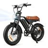 Bicicletta Elettrica EB5 Max-Fat bike Fuoristrada-Ruote 20*4.0"-250W-Batteria 48V 18.2Ah-Cambio a 7 velocità-Autonomia 80km