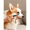 Easy-To-Clean Pet Eye Brush, Clean Face Comb + Clean Face Scissors, Remove Tear Marks, Scabs And Mucus, Comb Hair, Suitable For Small Cats And Dogs