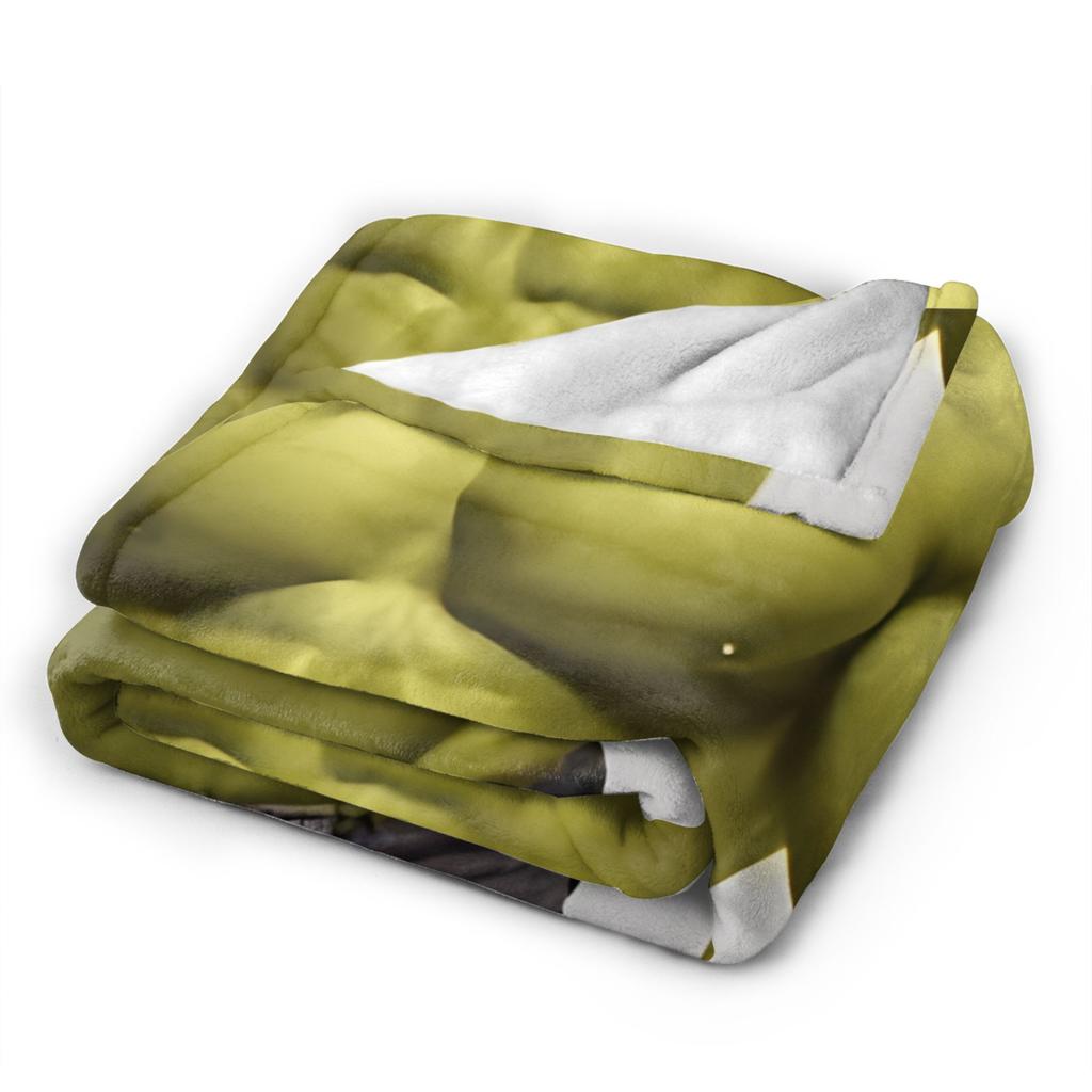 Funny Shreks Meme Throw Blanket for Couch  Soft Cozy Plush Blanket 50x60 Inch Multi-size Bedspread for All Seasons