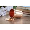 Copper Glass Tumbler Cup with Lid Set, Drinkware Home Restaurant, Yoga Ayurveda, 300 ML