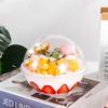 10pcs-cake Packing Box Crystal Mousse Ball Dessert Creative Baking Cake Box