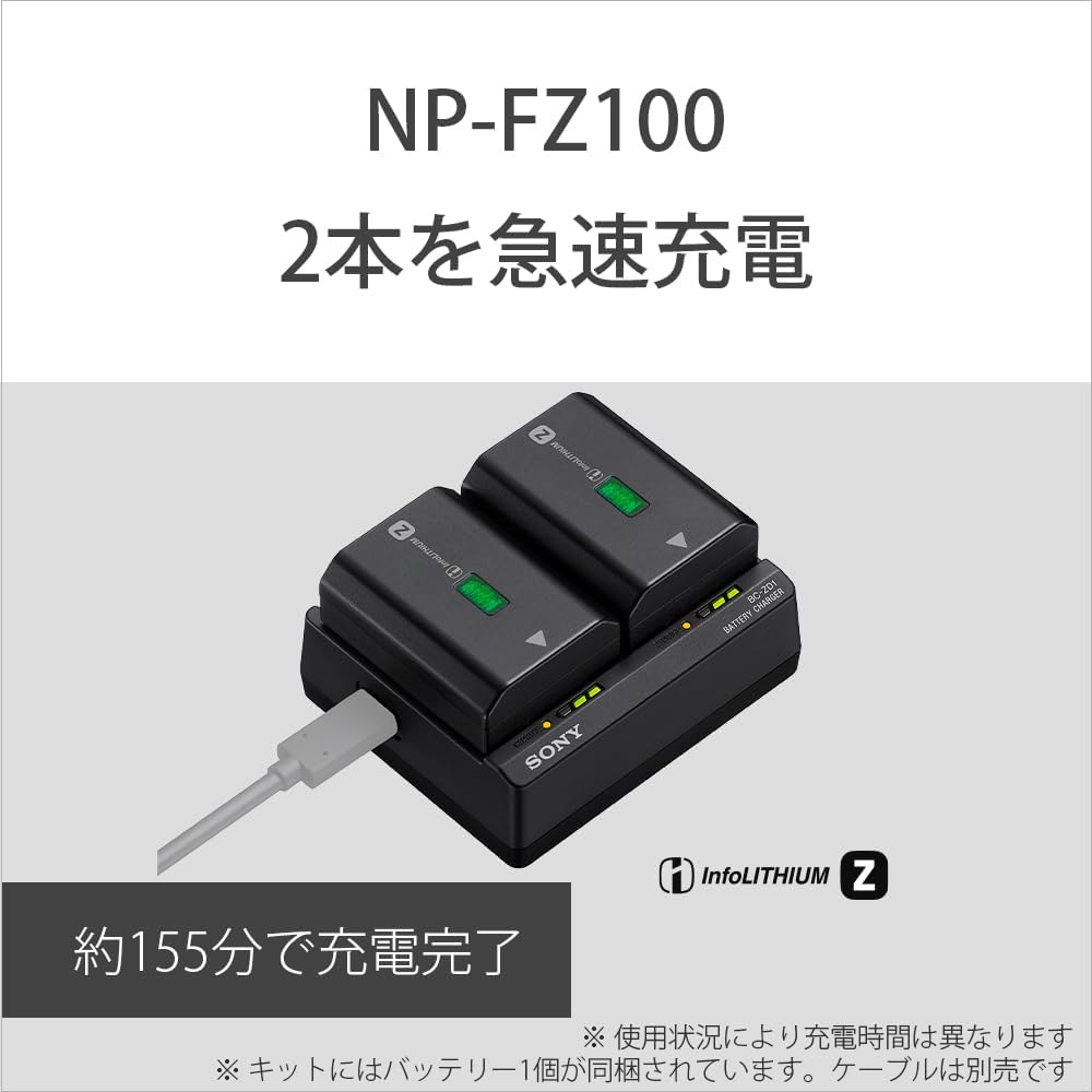 Sony ACC-ZD1K Accessory Kit (BC-ZD1 + NP-FZ100)