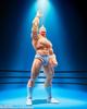 TAMASHII NATIONS S.H.Figuarts Kinnikuman - Perfect Superhuman Ancestor Arc - Approx. 155mm PVC & ABS Painted Movable Figure