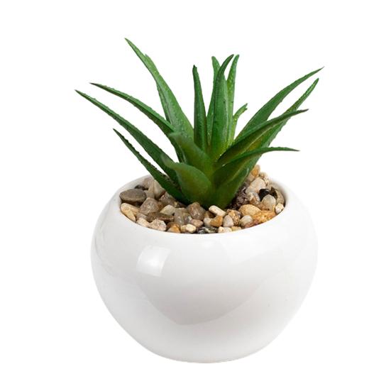 Fake Plants Mini Realistic Wide Application High Quality Natural Vivid Multi-style Artificial Succulents Bonsai for Living Room