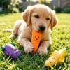 Giocattolo per Cani Vegetale Stridente Carota Melanzana Carina Giocattolo da Masticare per Cani Banana Giocattolo Interattivo per Cani per Riporto Lancio e Presa Cani Piccoli Medi