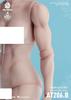 [TOYBARJAPAN] 1/6 Scale Action Figure Worldbox AT206 Muscle Version Pearl White Skin Female Body (Head and Clothes Not Included) (B)
