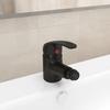 Day and Night - Day and Night Black Bidet Mixer Tap 13x12 Cm