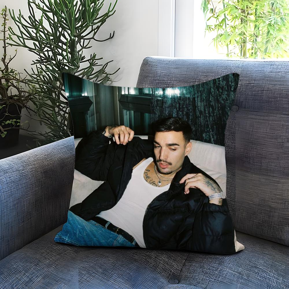 Singer D-Daniel A-Avery Kissenbezug Bequem Wendbarer Kissenbezug Ideal für Auto Sofa Schlafzimmer & Mehr