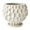 Creative Ceramic Succulent Pot for Phalaenopsis & Cyclamen - Rough Pottery Ornament