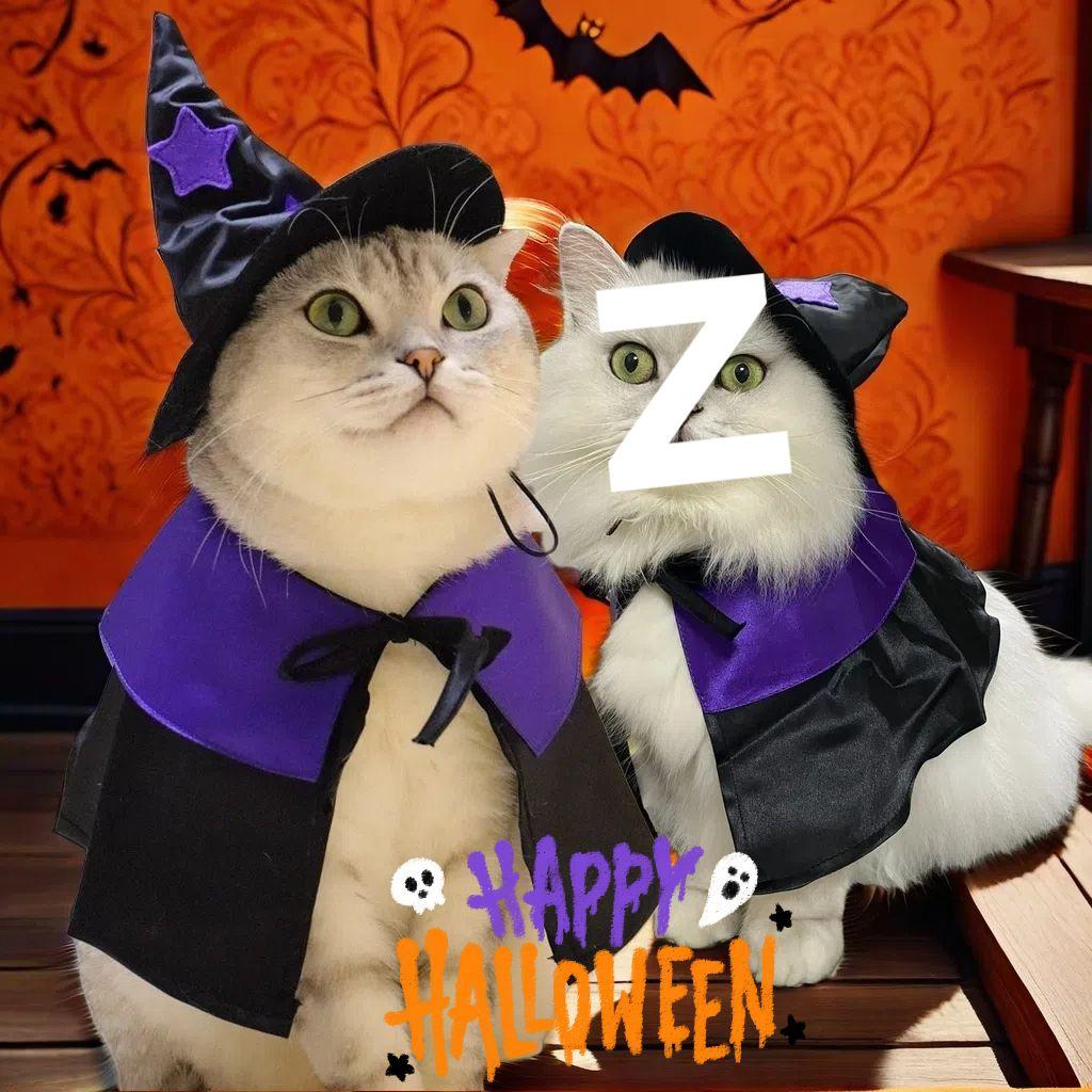 Pet Halloween Wizard Costume Set: Hat & Cloak for Cats and Dogs