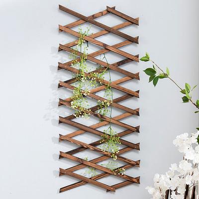 Traliccio in legno Decorazione da parete espandibile Piante rampicanti Aria Supporto Reticolo Rack verticale Cornice sospesa Recinzione Forniture da giardino