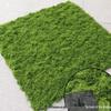 Woolen Landscape Wall with Simulated Moss and Rockery Stones for Gardens and Tanks