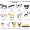 Mini Farm Animal Models Set for Educational Display – Dog, Cow, Sheep, Chicken, Duck, Goose, Pig, and Ducklings