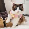 Breathable Dog Leash Set Anti Escape Cat Chest Strap Cat Accessories Pet Harness Vest  Puppy Akita