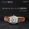 CREPHA Men's Analog Solar Rechargeable Watch with Leather Strap, Brown, AV-AM172-WTG